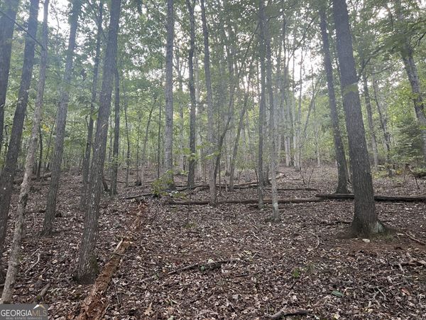 0 Rockfence Road, Adairsville, GA 30103