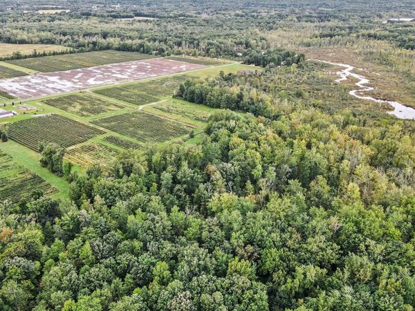 County Road 653, Gobles, MI 49055