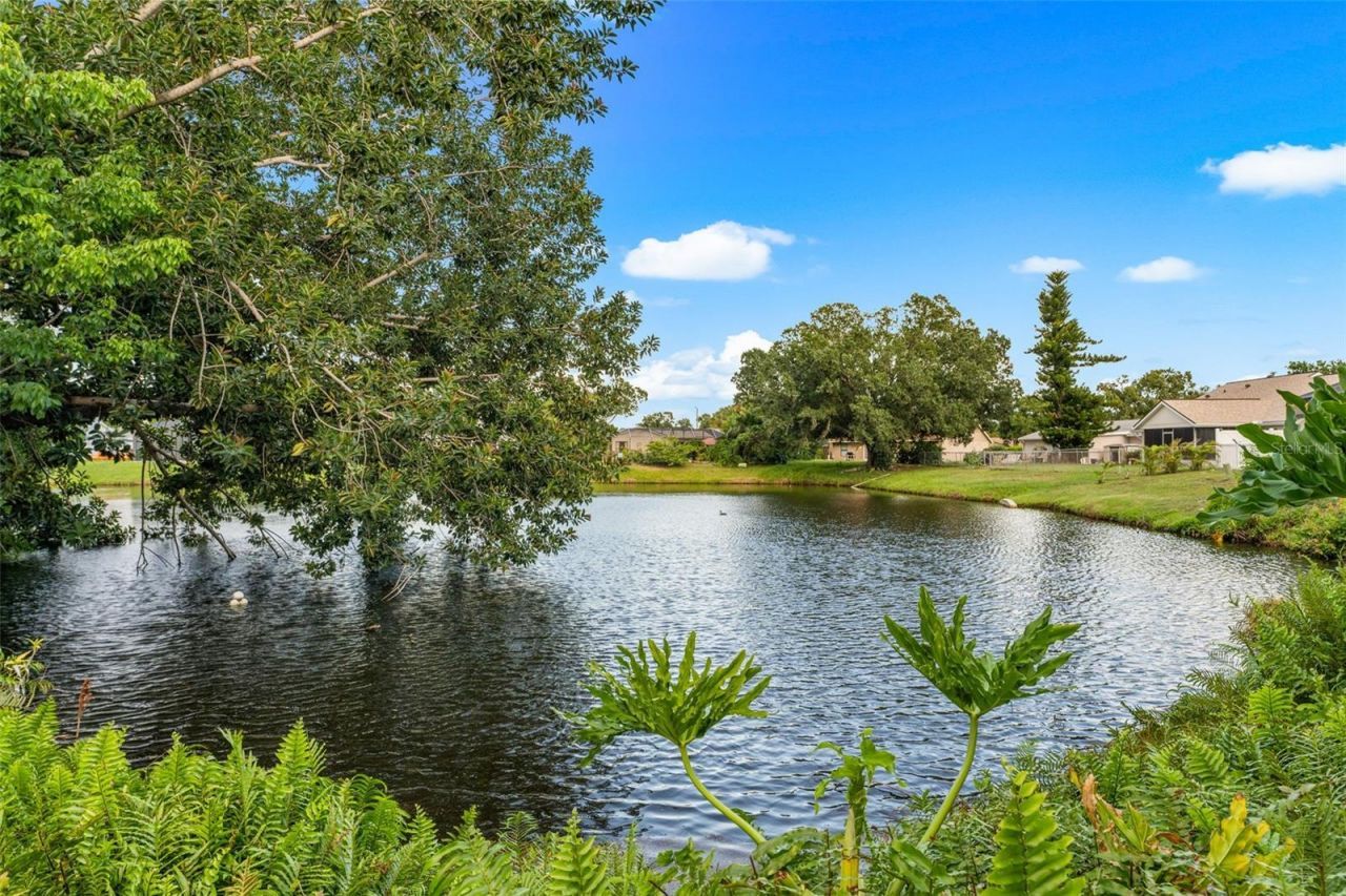 3403 66th Street Court W, Bradenton, FL 34209 Photo