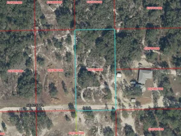 NE 91ST PLACE , BRONSON, FL 32621
