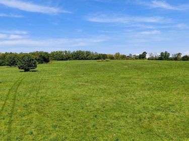 00 Hutchison Road, Paris, KY 40361