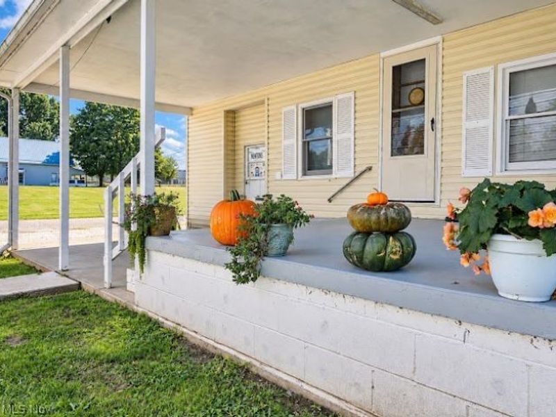 1820 North Street, Stockport, OH 43787 Photo 44