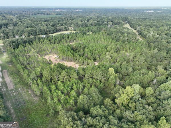 0 Carol Drive, Hawkinsville, GA 31036
