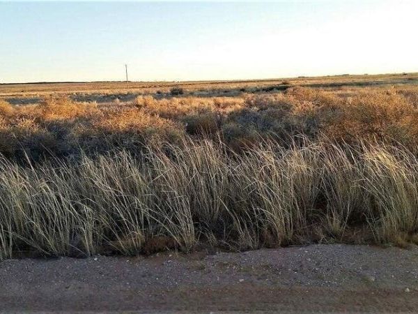 Windward Lot 43 Drive, Edgewood, NM 87015