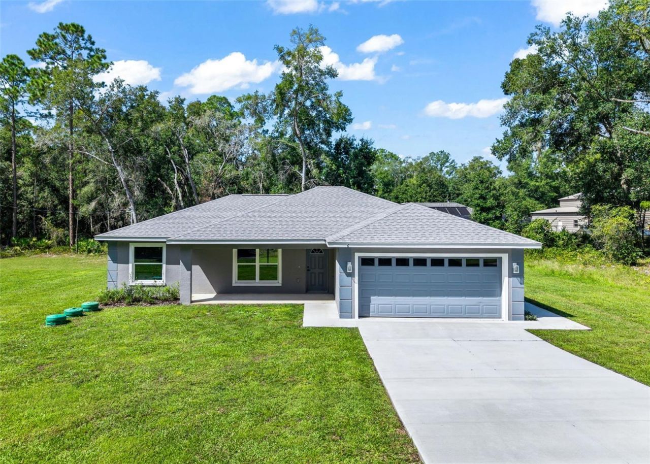 6 Bay Pass Terrace, Ocklawaha, FL 32179 Main Photo
