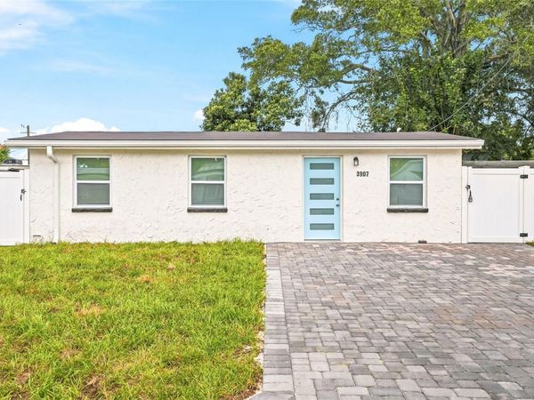 3907 SPENCE AVENUE , TAMPA, FL 33614