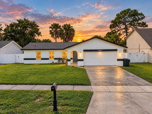13918 BRIARDALE LANE , TAMPA, FL 33618