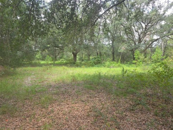 16604 NE 21ST STREET , GAINESVILLE, FL 32609