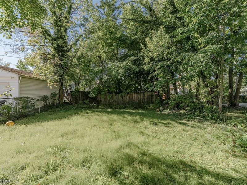14012 Christine Avenue, Cleveland, OH 44105 Photo 20