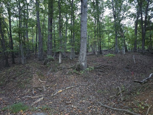 0 Pilot Mountain RD , Moneta, VA 24121