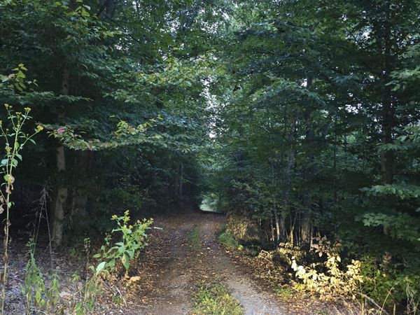 0 Rocky Ford RD , Moneta, VA 24121