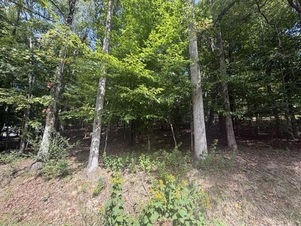 0 Tinker Mill RD , Daleville, VA 24083