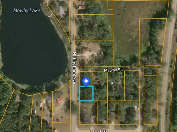 10846 N Bingham Avenue , Lilley Township, Mi 49309