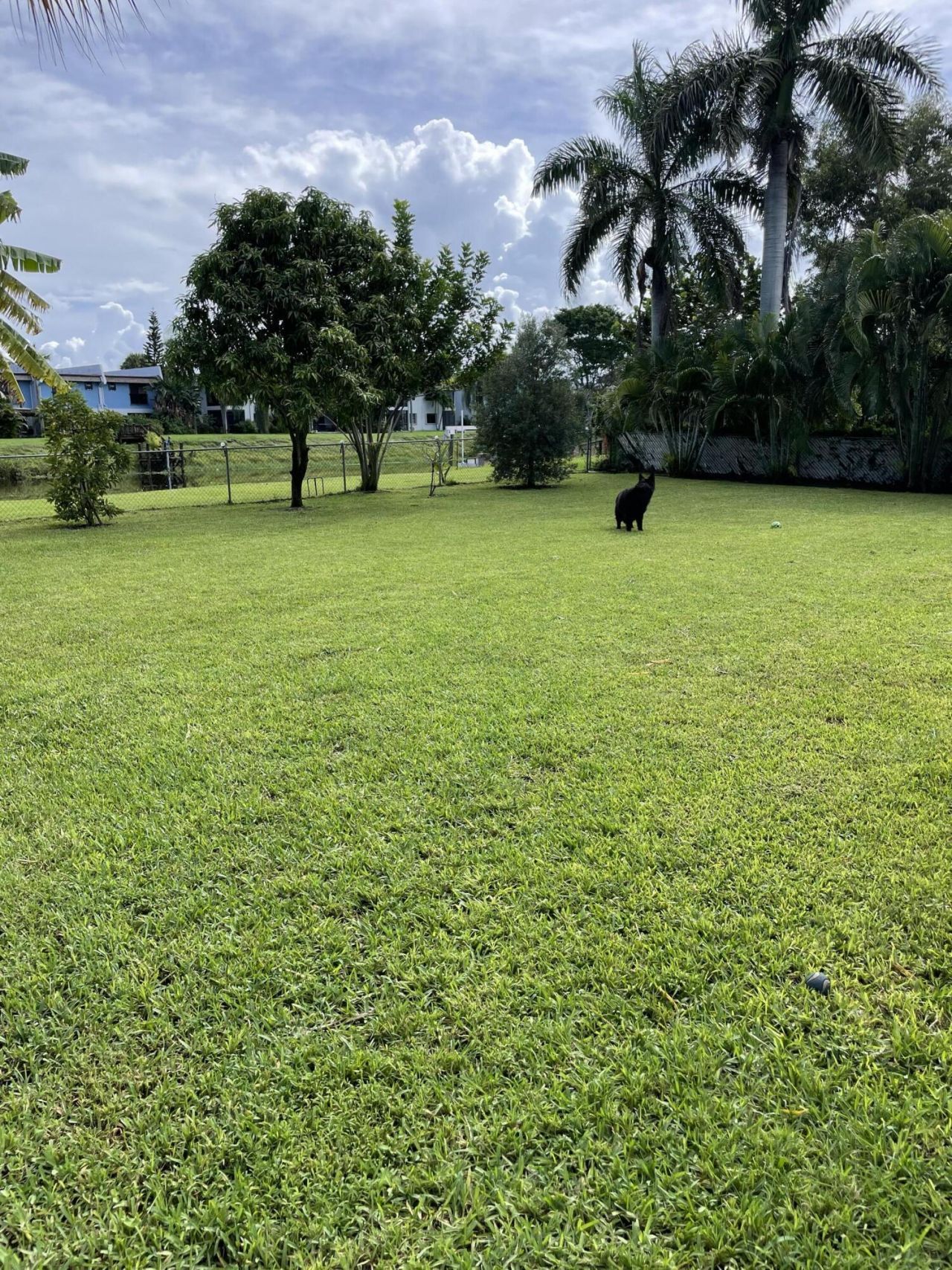 79 Oregon Lane, Boca Raton, FL 33487 Photo