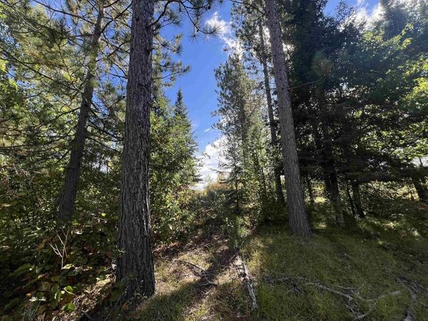 GEHLING ROAD, Dunbar, WI 54119