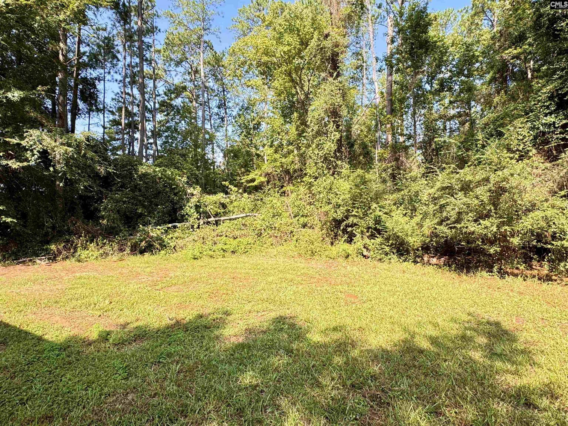 125 Bayfield Lane Photo 13