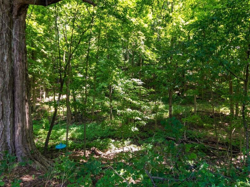 3976 Millersburg Road, Gambier, OH 43022 Photo 30