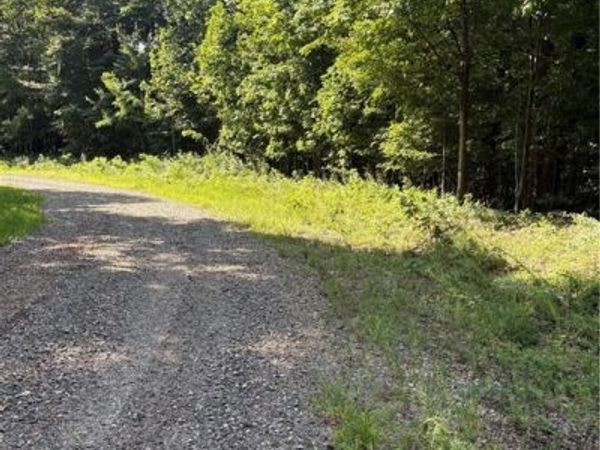 Lot 4 Falcon Ridge Drive , Moravian Falls, NC 28654