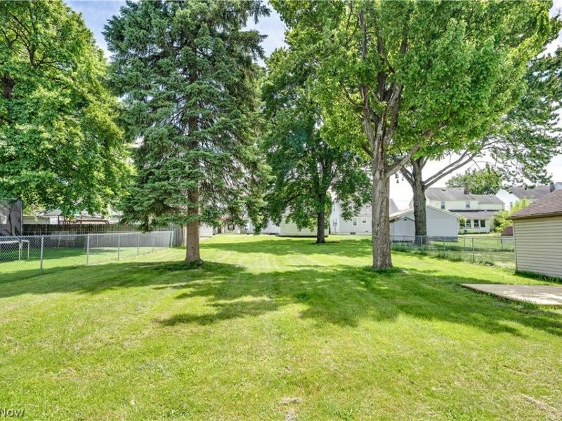 202 Morrison Street, Struthers, OH 44471 Photo 15