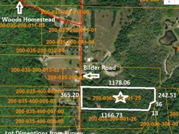 11449 Bilder Road, Wolverine, MI 49799