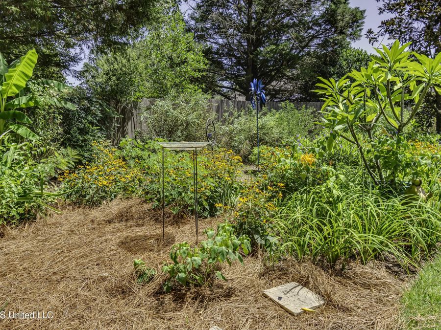 Property Image 83