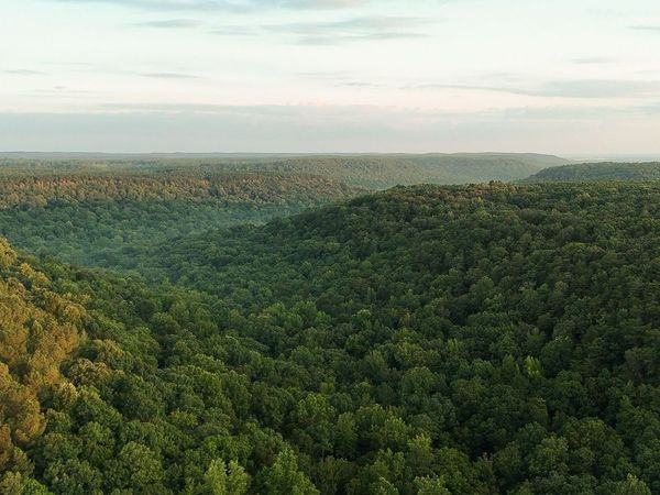 0 Wagnon Mountain Road , Tuscumbia, AL 35674