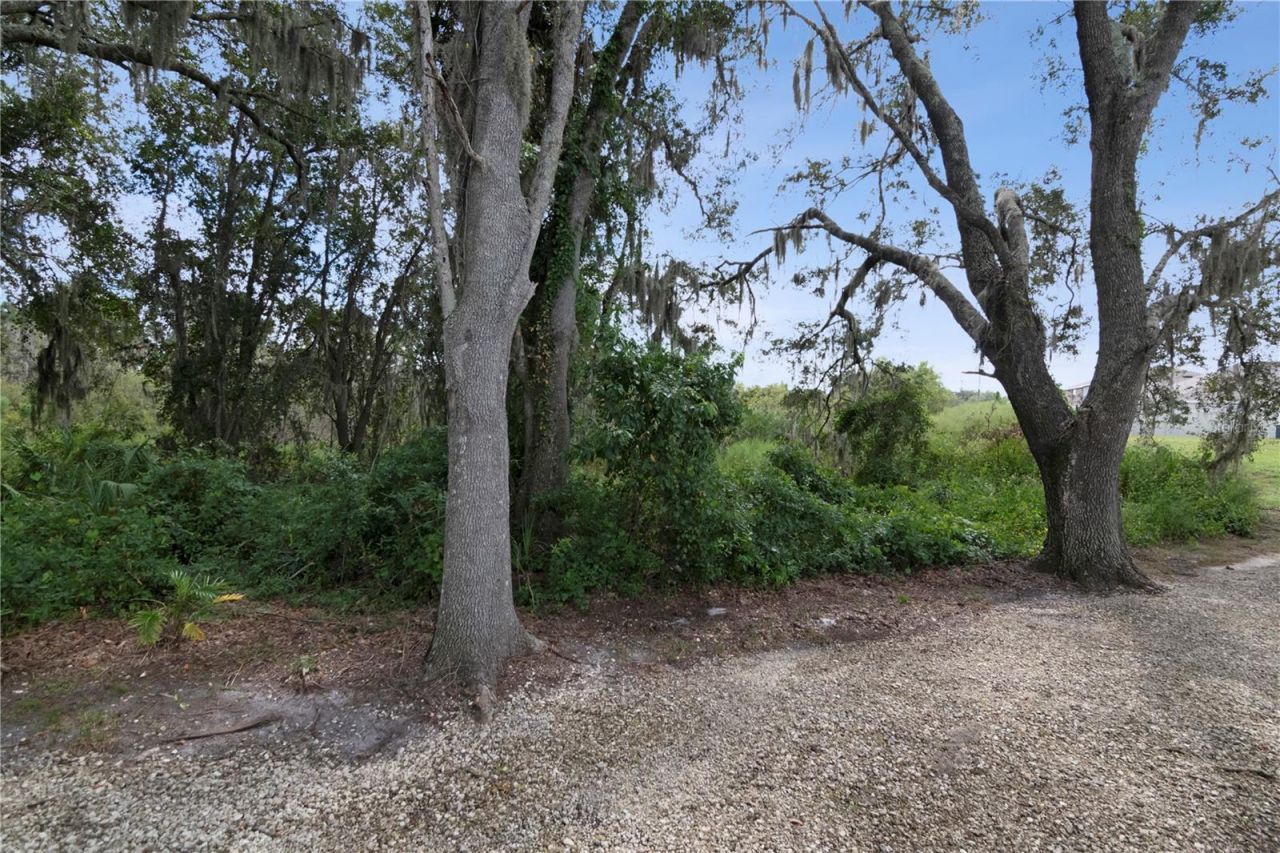 13448 Mylion Way , Spring Hill, FL 34610 Photo