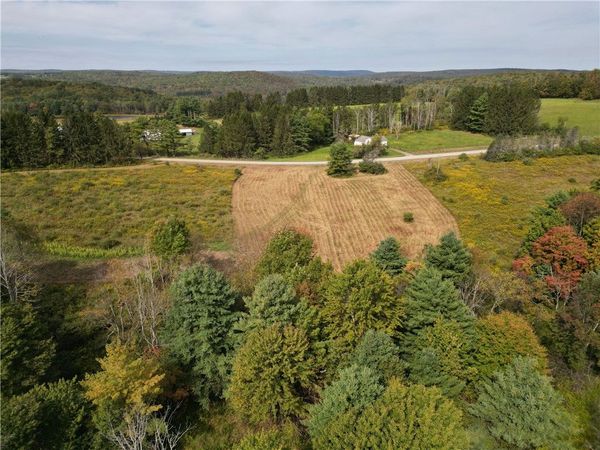 330 Tallow Hill Road , Spencer, NY 14883