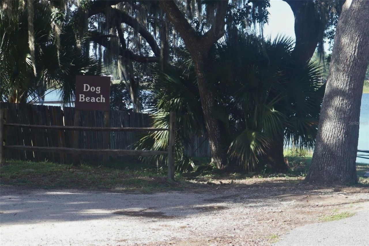25317 NE 140th Lane , Unit 369, Salt Springs, FL 32134 Photo
