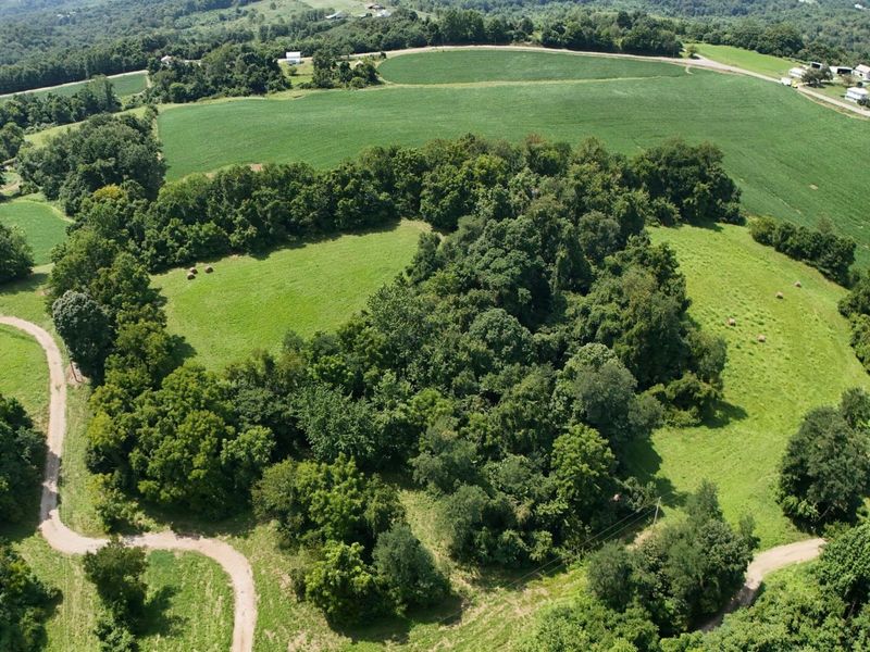 0 Downing Road , Stockport, OH 43787 Photo 13