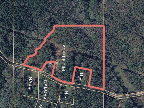 Scott Senter Road, Fulton, MS 38843