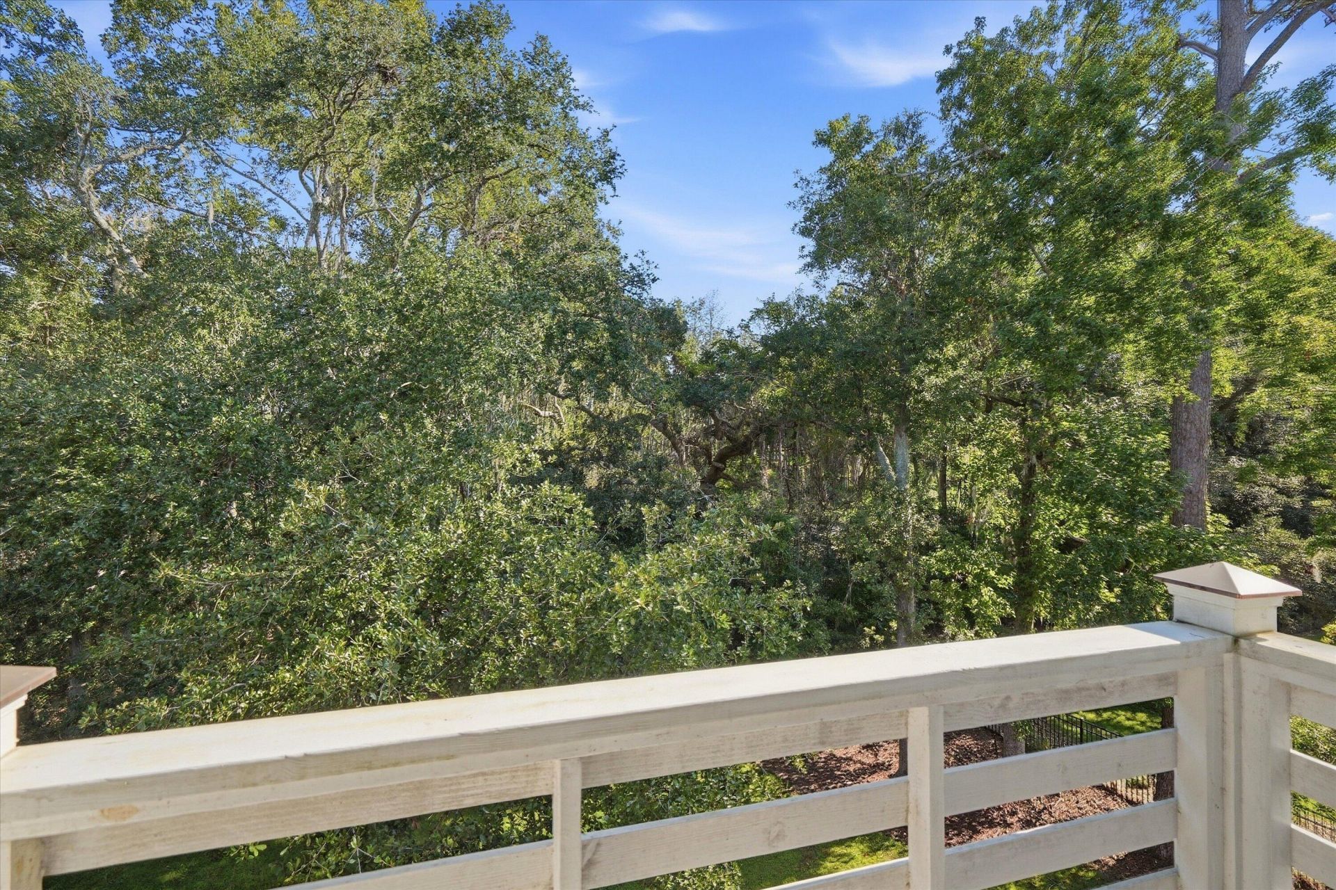 2914 Maritime Forest Drive Photo 45