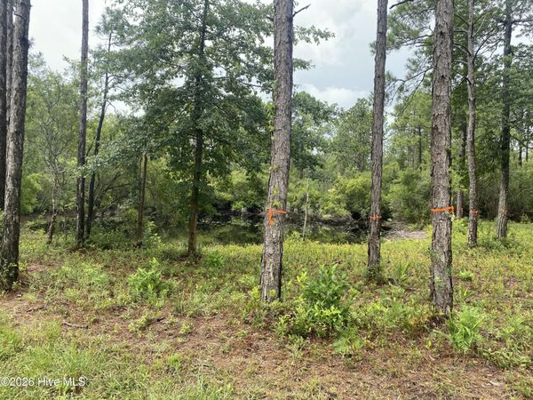120 Dixon Road , Boiling Spring Lakes, NC 28461