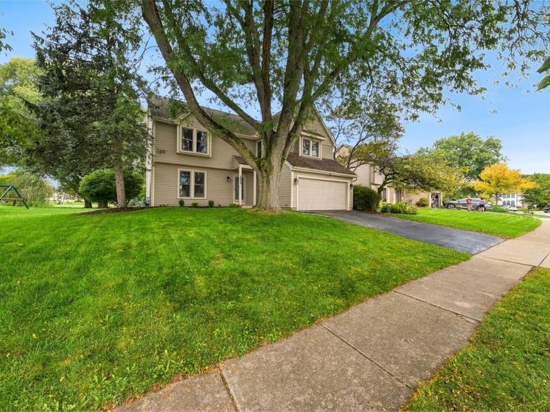 7313 Mapleleaf Boulevard, Columbus, OH 43235 Photo 2