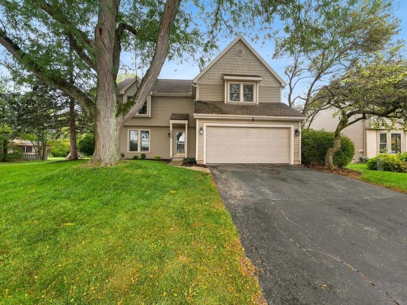 7313 Mapleleaf Boulevard, Columbus, OH 43235 Photo 5