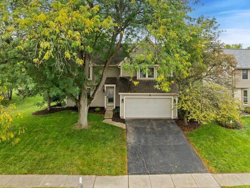 7313 Mapleleaf Boulevard, Columbus, OH 43235 Photo 71