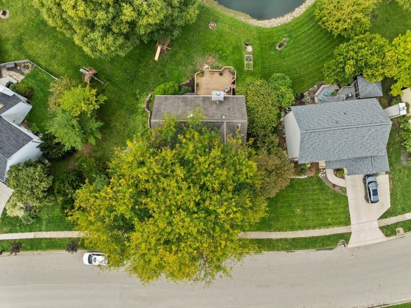7313 Mapleleaf Boulevard, Columbus, OH 43235 Photo 86