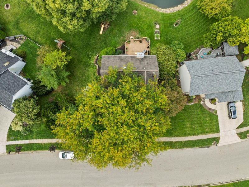 7313 Mapleleaf Boulevard, Columbus, OH 43235 Photo 87