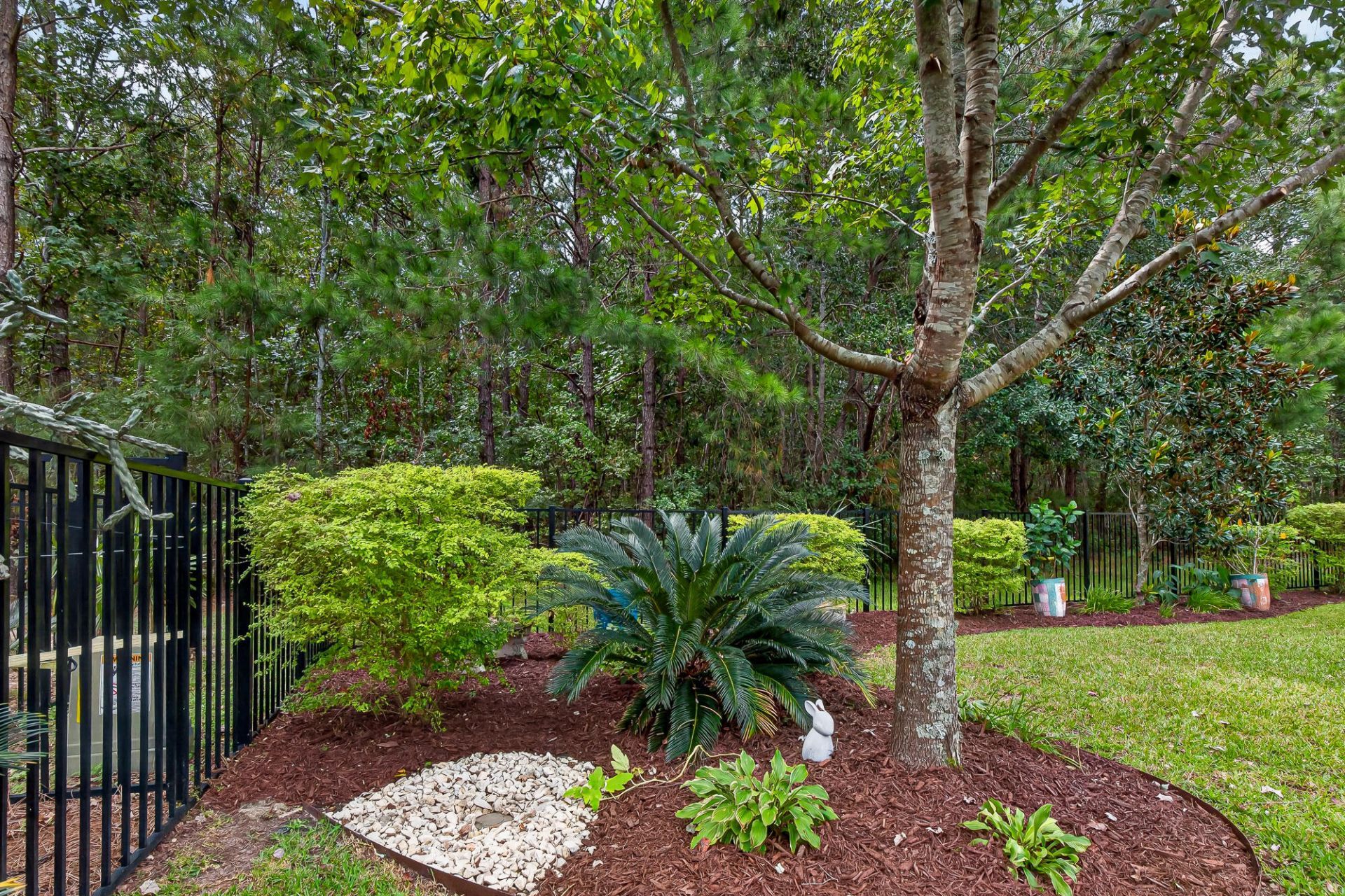 803 Buckler Street Photo 143