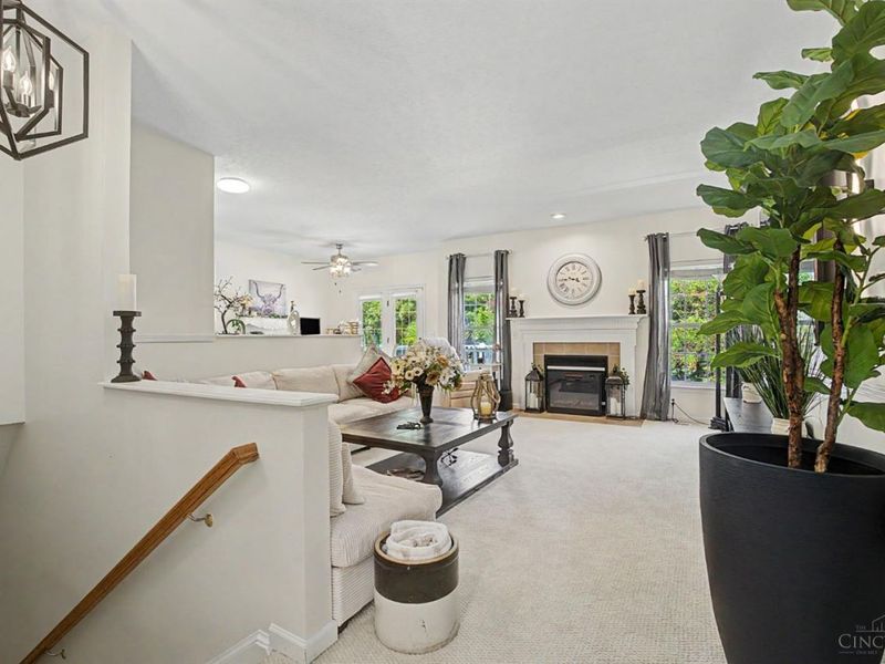 40 teil tree, Monroe, OH 45050 Photo 20