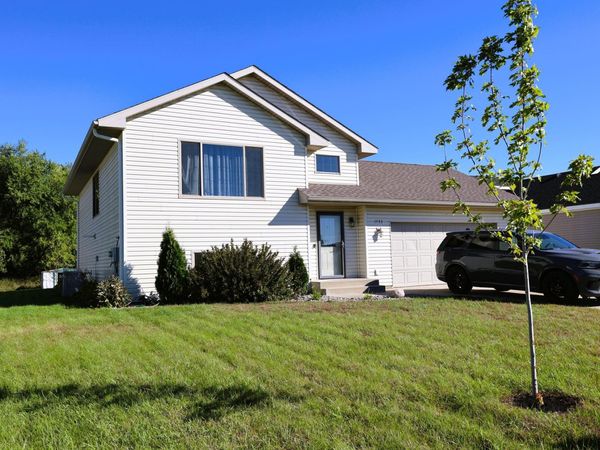 1733 Maple Leaf Lane, Litchfield, MN 55355