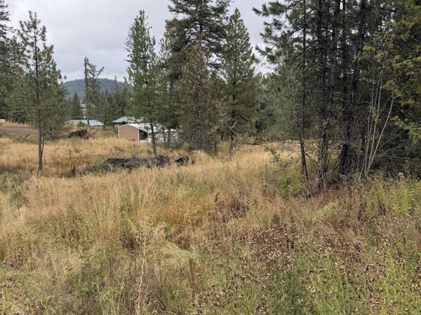 NKA F St, Plummer, ID 83851