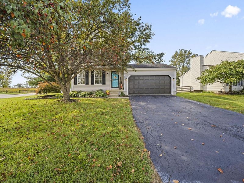 8503 Carbine Place, Galloway, OH 43119 Photo 8