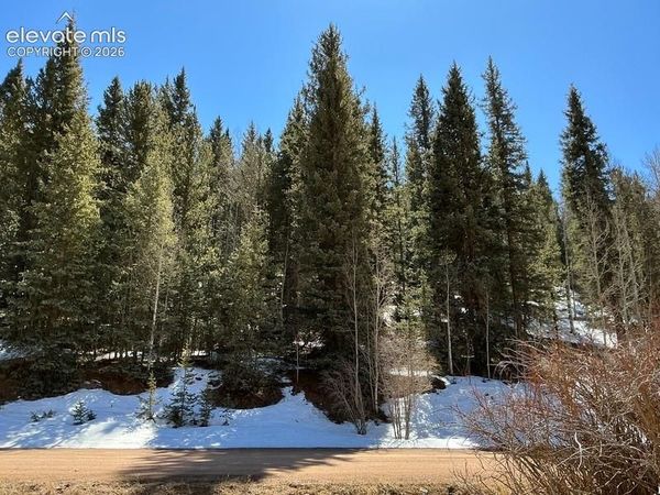 2206 Anges Drive, Cripple Creek, CO 80813
