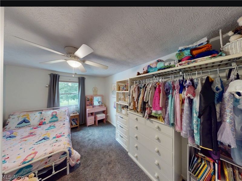 3350 Sandy Lake Road, Ravenna, OH 44266 Photo 22