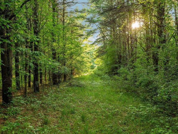 Vincer Way N, Northport, MI 49670