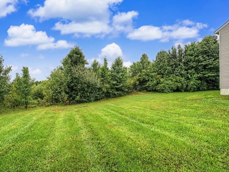 215 Wexford Drive, Monroe, OH 45050 Photo 41