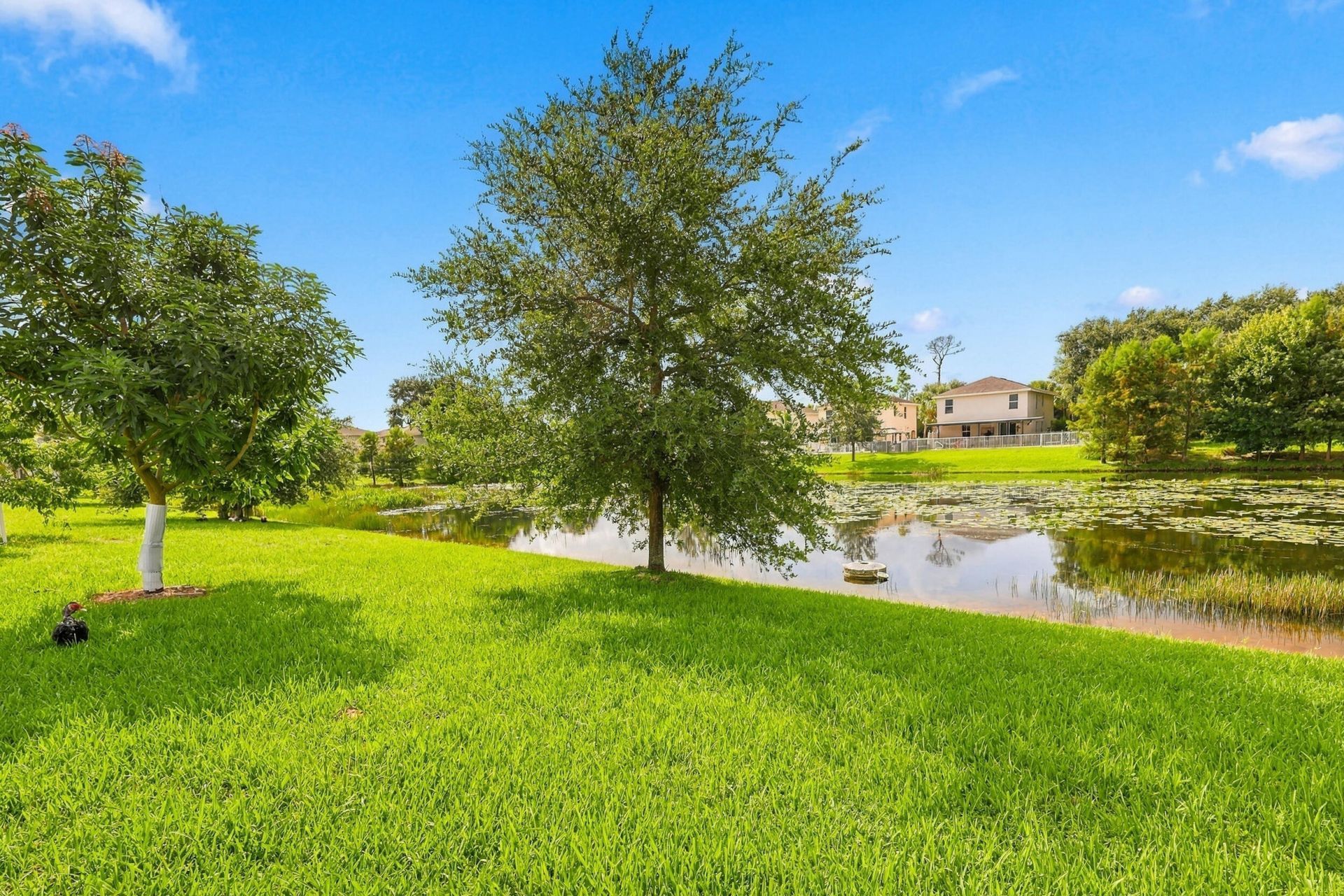 6156 Wildfire Way, West Palm Beach, FL 33415 Photo