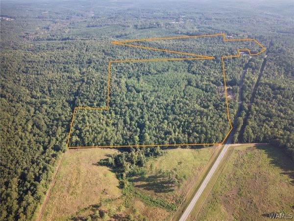 0000 County road 49 , Vernon, AL 35592