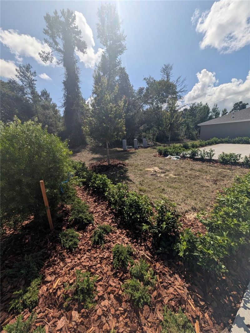 3266 SW 158 Loop, Ocala, FL 34473 Photo